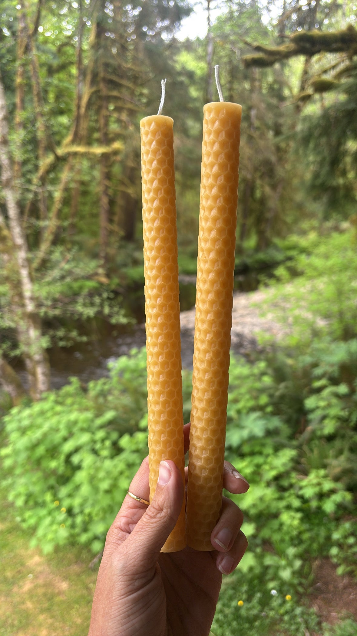 Honeycomb Beeswax Candles