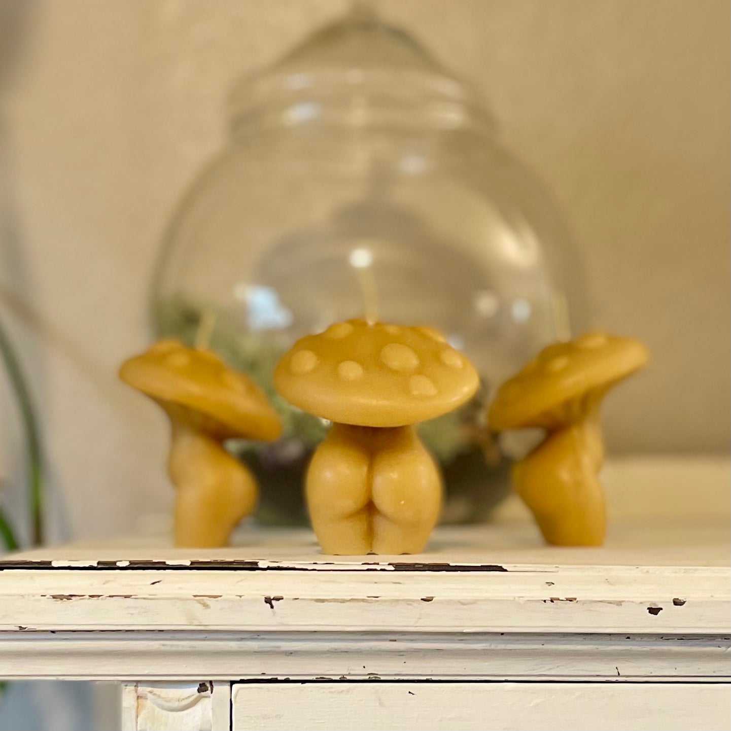 Beeswax Mushroom Lady