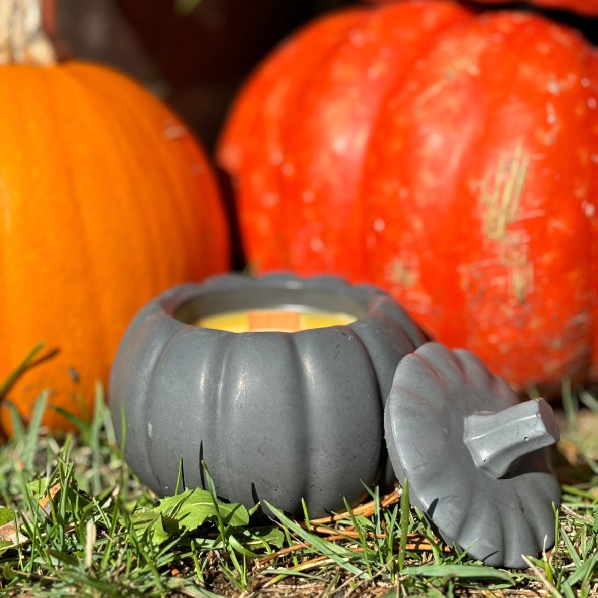 Pumpkin Beeswax Candle