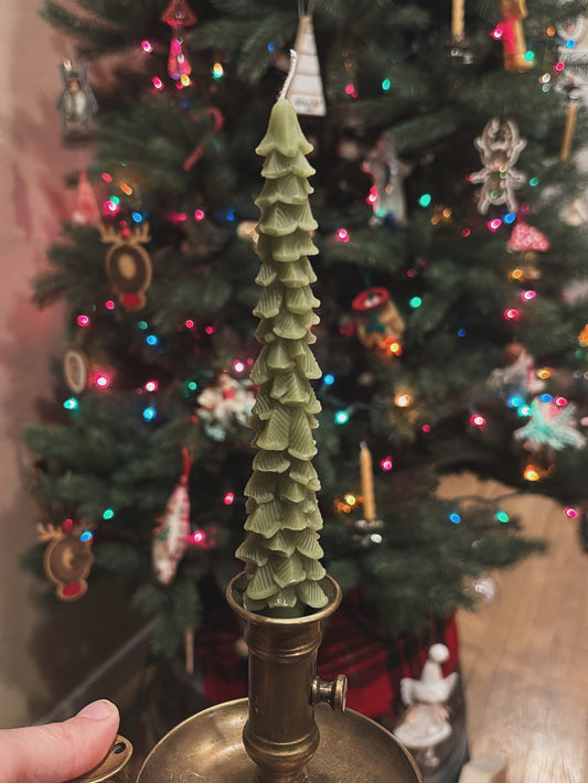 Green Beeswax Tree Taper Set