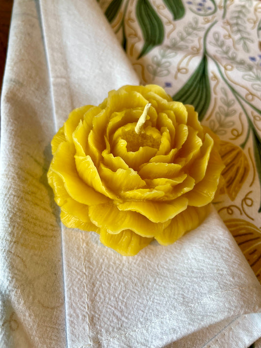 Beeswax Peony