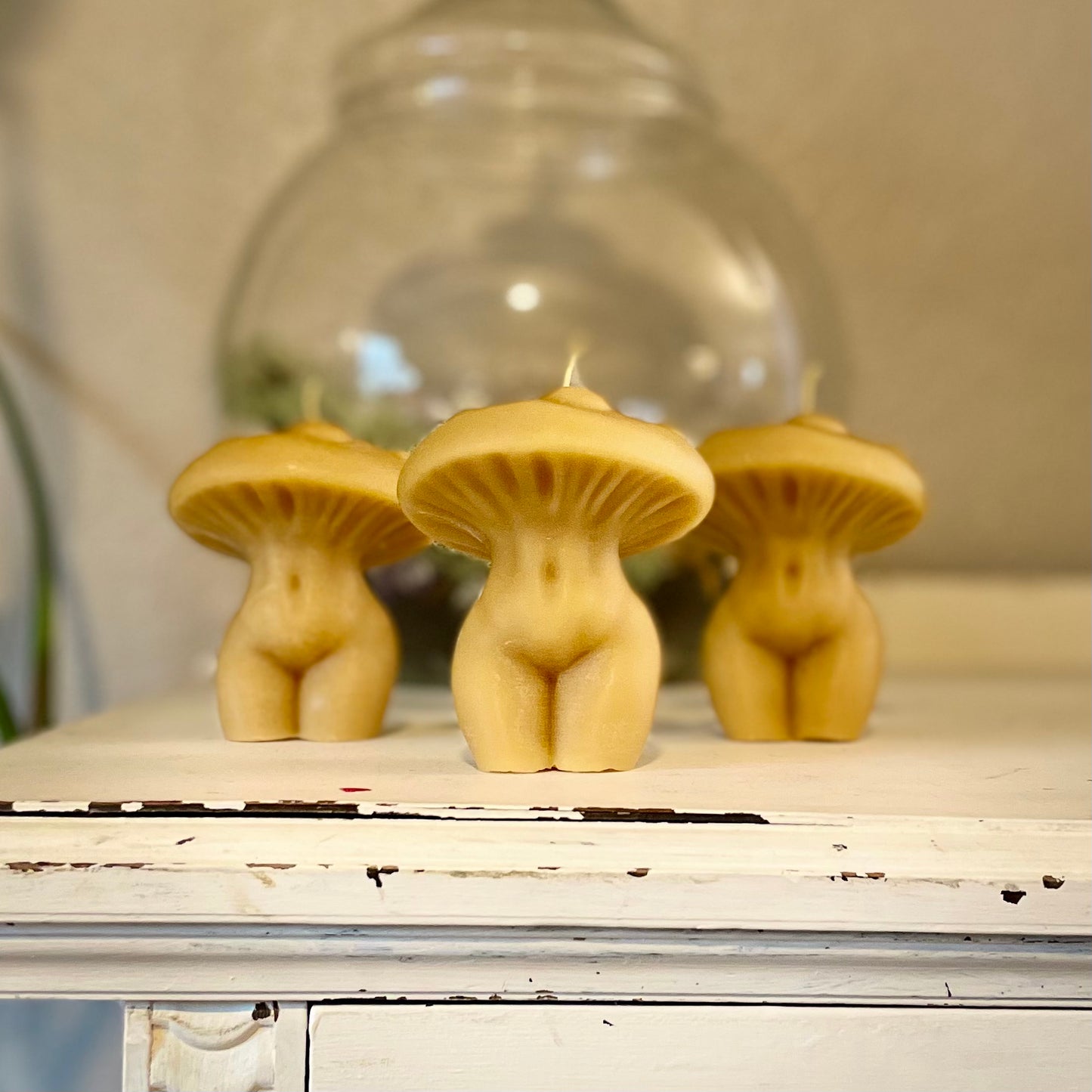 Beeswax Mushroom Lady